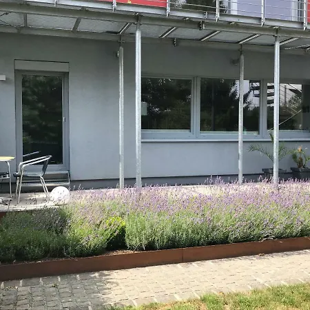 Wander- Und Aktivchalet Birkenfeld  Extérieur photo